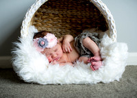 Harper Poole - Newborn