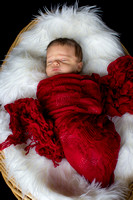 Austin Buhler - Newborn